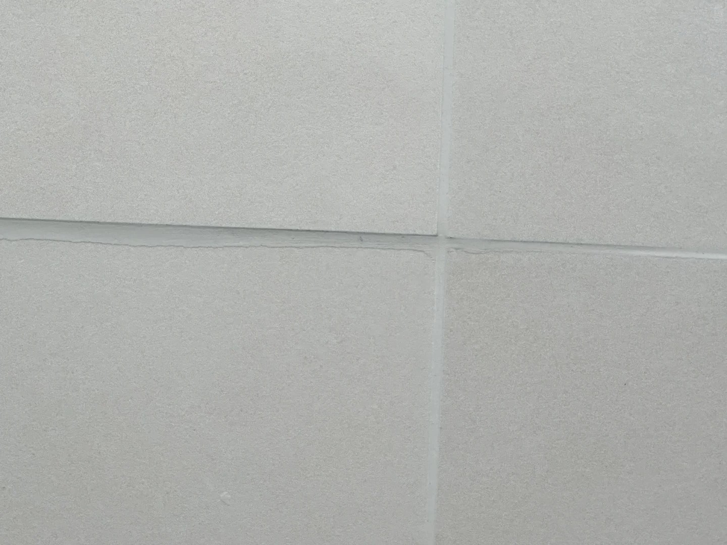 1729500342633575.jpg